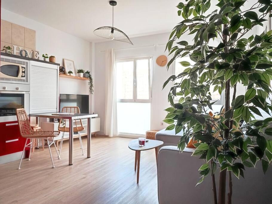 Vacational Dreams Apartment Santa Cruz de Tenerife Ngoại thất bức ảnh